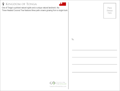 Three-Headed Coconut Tree, Tonga Travel Postcard